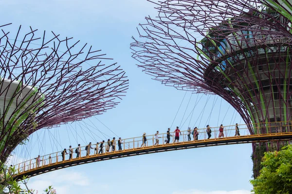 Singapore City Singapore September 2019 Turisté Prohlédnou Zahrady Zálivu Přírodní — Stock fotografie