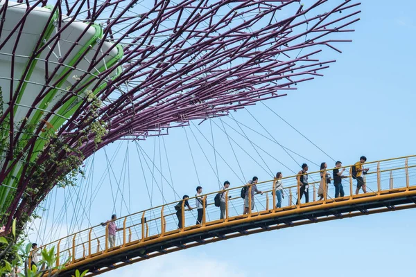 Singapore City Singapore September 2019 Tourists Tour Gardens Bay Nature — ストック写真