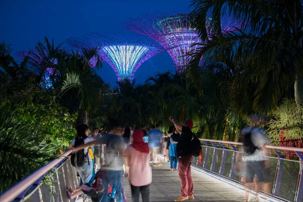 Singapore City Singapore September 2019 Nachtzicht Gardens Bay Een Natuurpark — Stockfoto