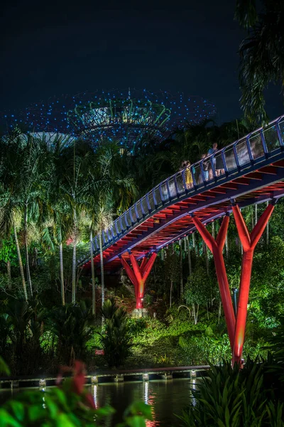 Singapore City Singapore September 2019 Night View Gardens Bay Nature — ストック写真