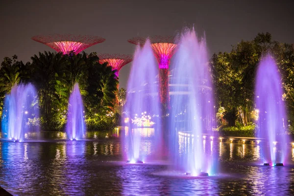 Singapore City Singapore September 2019 Nachtzicht Gardens Bay Een Natuurpark — Stockfoto