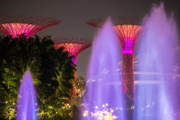 Singapore City Singapur Září 2019 Noční Pohled Zahrady Zálivu Přírodní — Stock fotografie