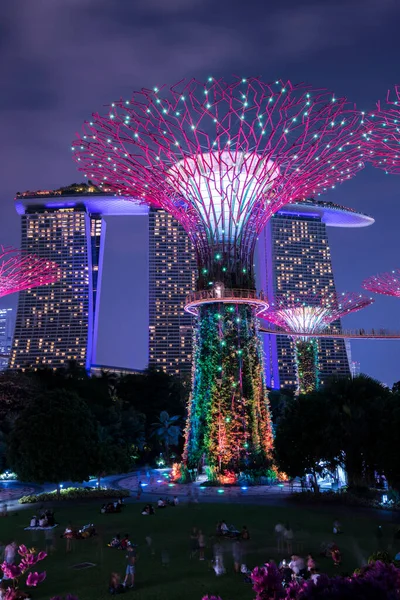 Singapore City Singapura Setembro 2019 Vista Noturna Jardins Junto Baía — Fotografia de Stock