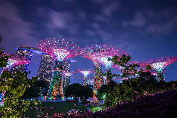 Singapore City Singapura Setembro 2019 Vista Noturna Jardins Junto Baía — Fotografia de Stock