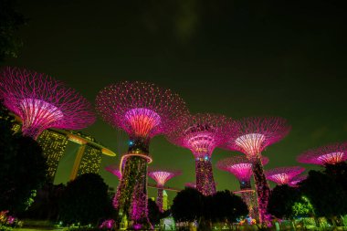 Singapur Şehri, Singapur - 11 Eylül 2019: Körfez kenarındaki bahçelerin gece manzarası Singapur 'da bir doğa parkı.