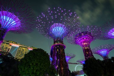 Singapur Şehri, Singapur - 11 Eylül 2019: Körfez kenarındaki bahçelerin gece manzarası Singapur 'da bir doğa parkı.