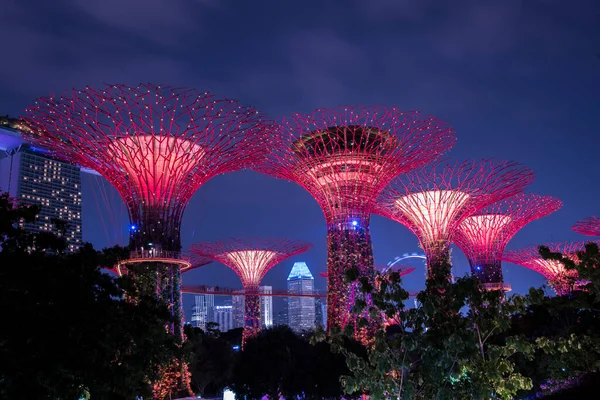 Singapore City Singapore September 2019 Night View Gardens Bay Nature — 스톡 사진