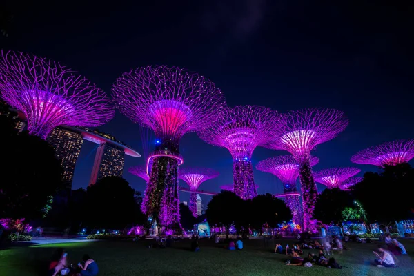 Singapur Şehri, Singapur - 11 Eylül 2019: Körfez kenarındaki bahçelerin gece manzarası Singapur 'da bir doğa parkı.