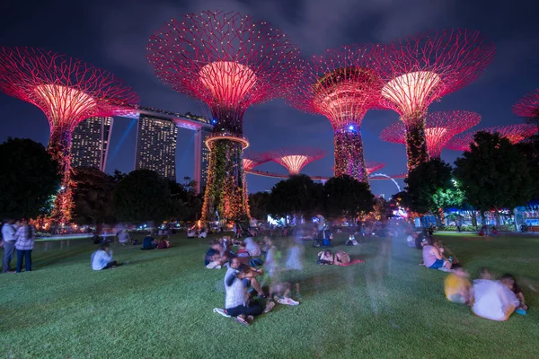 Singapore City Singapur Září 2019 Noční Pohled Zahrady Zálivu Přírodní — Stock fotografie