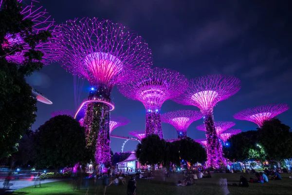 Singapore City Singapur Září 2019 Noční Pohled Zahrady Zálivu Přírodní — Stock fotografie