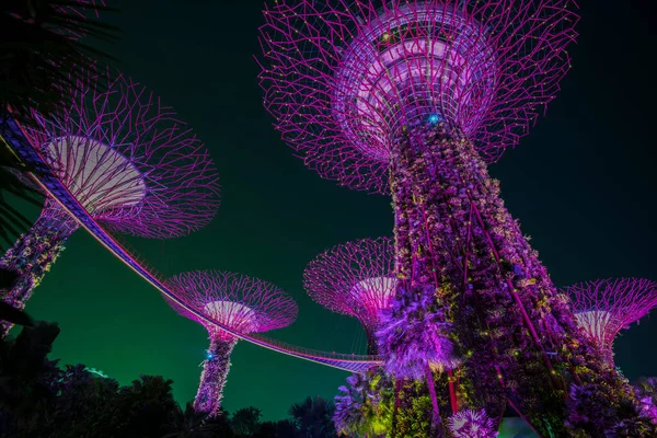 新加坡新加坡市 2019年9月11日 新加坡市自然公园湾边花园的夜景 — 图库照片