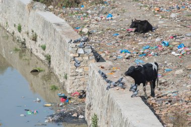 Katmandu, Nepal, 20 Nisan 2022: Katmandu 'daki nehir kıyısında çöp ve plastik kirliliği.