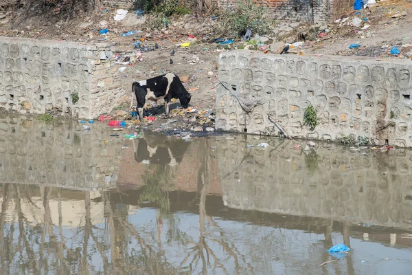 Katmandu, Nepal, 20 Nisan 2022: Katmandu 'daki nehir kıyısında çöp ve plastik kirliliği.