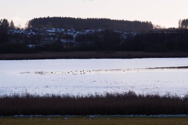 Ebersberg, Almanya-10 Mart 2022: Egglburger, Ebersberg, Yukarı Bavyera yakınlarında bir yer..