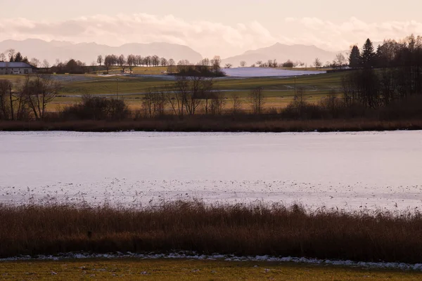 Озил Германия Марта 2022 Года Озеро Оглбургер Зимой Пункт Назначения — стоковое фото