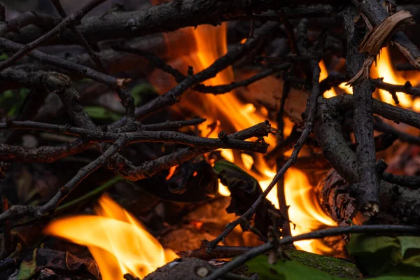 Shed Camping Site — Stock Photo, Image