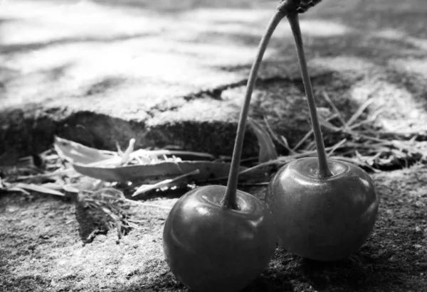 Cherries Lying Ground — Stockfoto