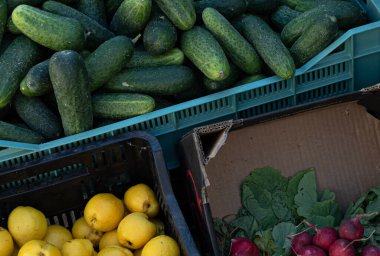 Soyut sunulan çok renkli modern duvar kağıdı