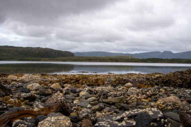 A beach on a fjord in Norway