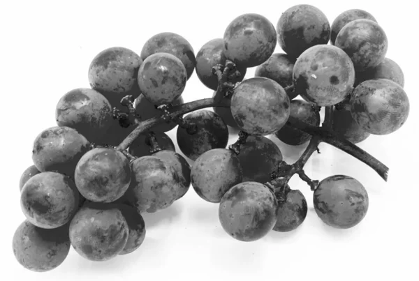 Een Bos Van Verse Groene Druiven Zwart Wit — Stockfoto