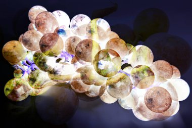 Bir demet taze yeşil üzüm soyut sumie etkisi