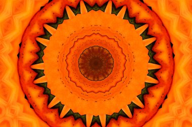 Portakal rengi bir Asya zambağı modern bir şekilde tasvir edilmiştir.