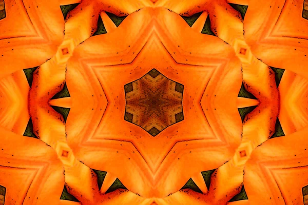 Pomarańczowa Azjatycka Lilia Przedstawiona Nowoczesnym Abstrakcyjnym Stylu — Zdjęcie stockowe