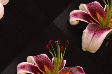 Soyut sunulan çok renkli modern duvar kağıdı