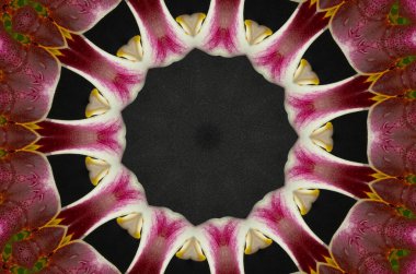 Soyut sunulan çok renkli modern duvar kağıdı