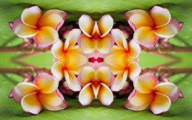 Soyut sunulan çok renkli modern duvar kağıdı