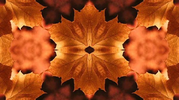 Hoja Otoño Presentada Estilo Abstracto — Foto de Stock