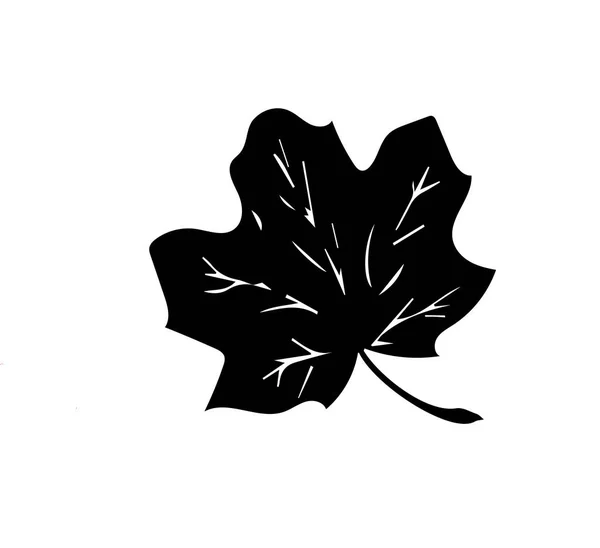 Осенние Листья Иконки Контура Осенние Листья Изолированы Белом Фоне Icons — стоковый вектор