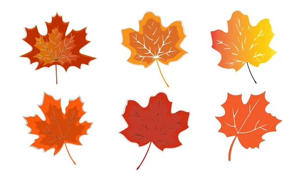 Herbstblatt Herbst Ahornblatt Isoliert Auf Weißem Hintergrund Vektorillustration — Stockvektor