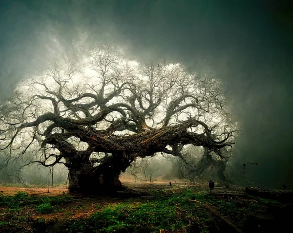 Digital Art Old Big Tree Amazing Branches Illustration Render — Photo