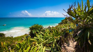 Mayalı harabelerin yanındaki Tulum plajı. Maya Rivierası, Meksika.