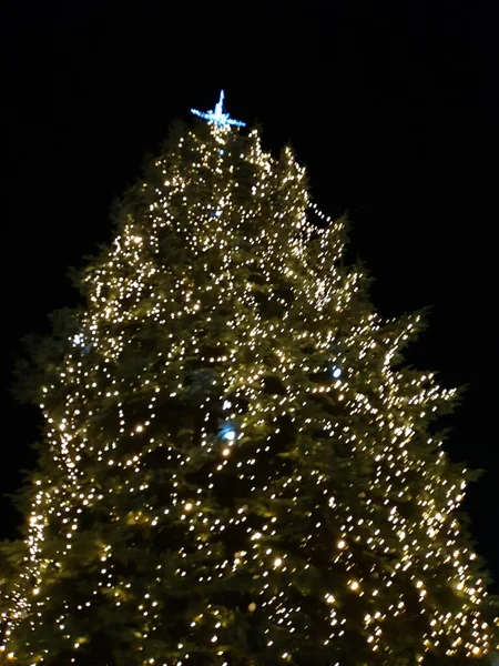 Kerstboom Het Plein — Stockfoto