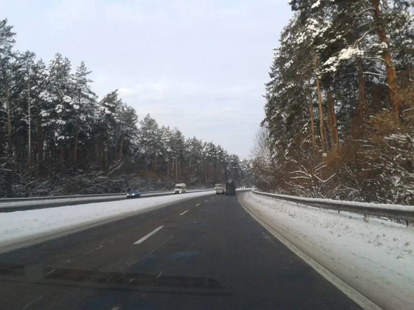 Route Dans Forêt — Photo