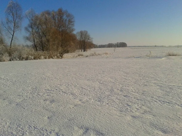 Paisagem Inverno Com Neve Árvores — Fotografia de Stock