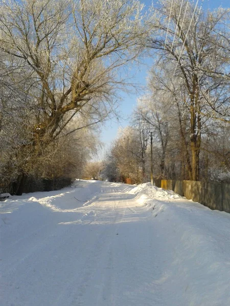 Зимовий Пейзаж Снігом Деревами — стокове фото