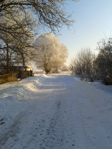Paesaggio Invernale Con Neve Alberi — Foto Stock