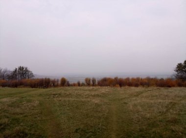 Ağacı ve tarlası olan güzel bir manzara.