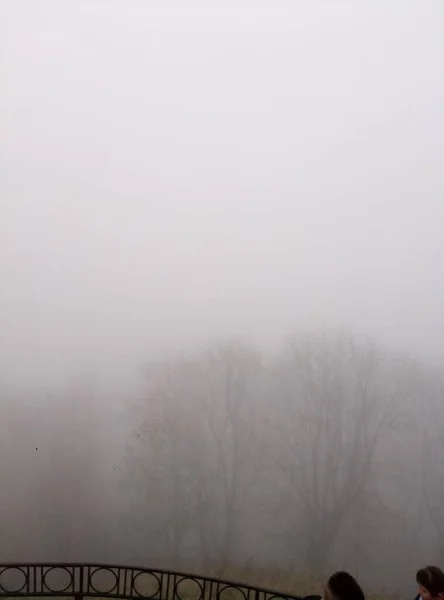 多雾的雪景 — 图库照片
