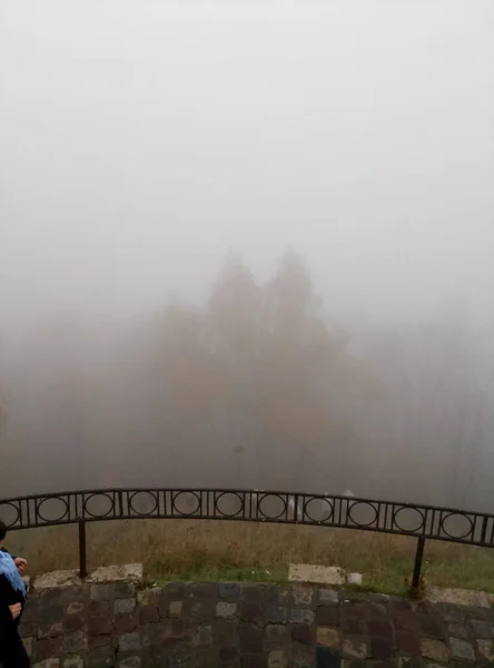 Una Ciudad Una Niebla Bosque Nublado — Foto de Stock