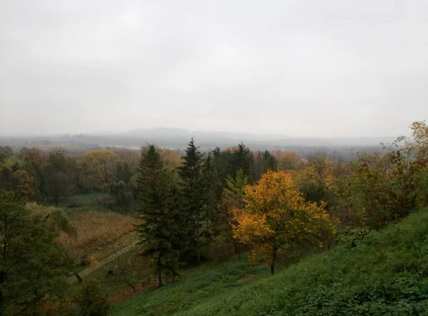 有树木和森林的秋天风景 — 图库照片