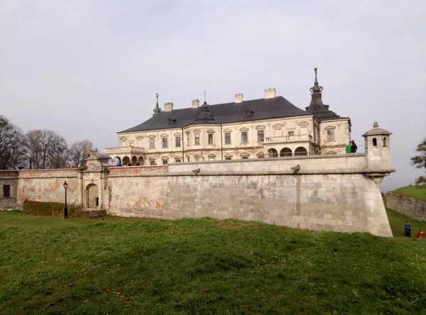 Castillo Región Lviv — Foto de Stock