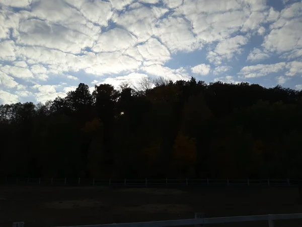 Пейзаж Осеннего Леса — стоковое фото