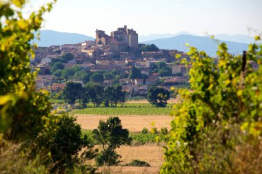 Fransa 'nın güneyindeki Languedoc Herault Bölümü' nün Puissalicon Şatosu yakınlarındaki üzüm bağları