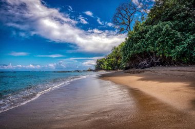 Cano Adası, Osa Yarımadası, Kosta Rika. Milli parktaki koruma altındaki bir adada bozulmamış bir plaj.