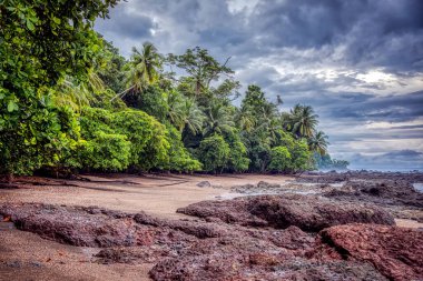 Kosta Rika 'nın Corcovado Ulusal Parkı' nın doğal güzelliği, Osa Yarımadası, bir Orta Amerika cenneti.