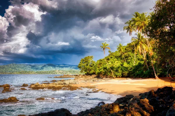 Kosta Rika 'daki Corcovado Ulusal Parkı' nda palmiye ağaçları olan plaj, Osa Yarımadası.